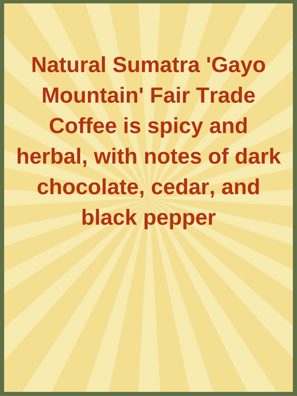 Natural Sumatra 'Gayo Mountain' Fair Trade Coffee